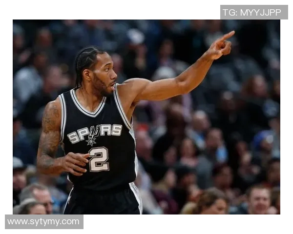 2012至2013赛季热火与马刺的巅峰对决回顾与分析