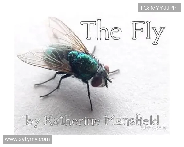 伯顿与曼斯菲尔德对决分析:谁能在这场较量中脱颖而出 伯顿与曼斯菲尔德对决分析:谁能在这场较量中脱颖而出