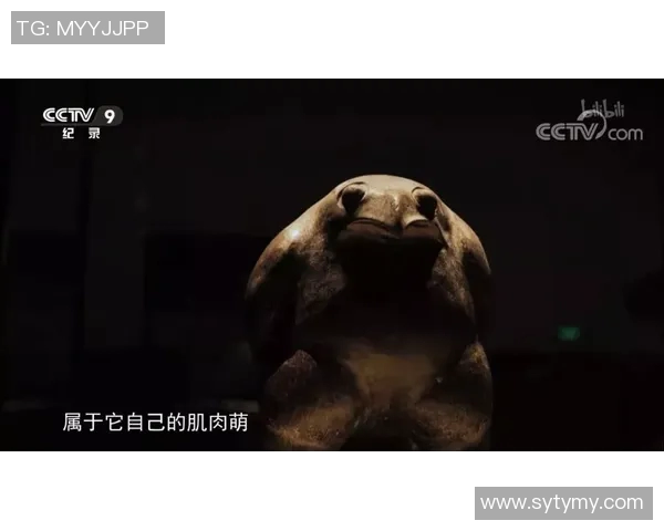 北方熊与中央海岸的激烈对决谁能在这场比赛中笑到最后