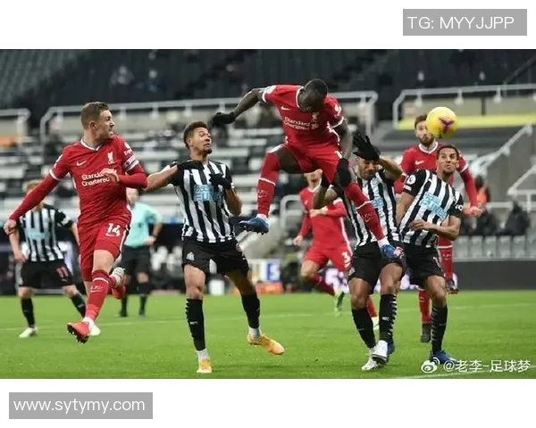 澳甲联赛精彩对决纽卡斯尔迎战凤凰队全力争胜展现实力